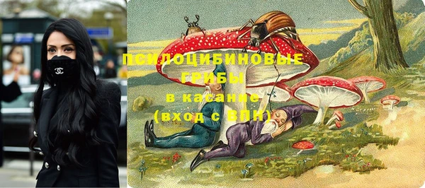 гидра Абинск